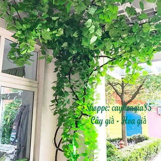 Quận Dây Leo Giả chiều dài 3m