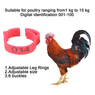 100 cái vòng nhẫn đeo chân gà có đánh số từ 001-100 vòng khóa chân gà bằng nhựa chất lượng cao cho trang trại gia c-168
