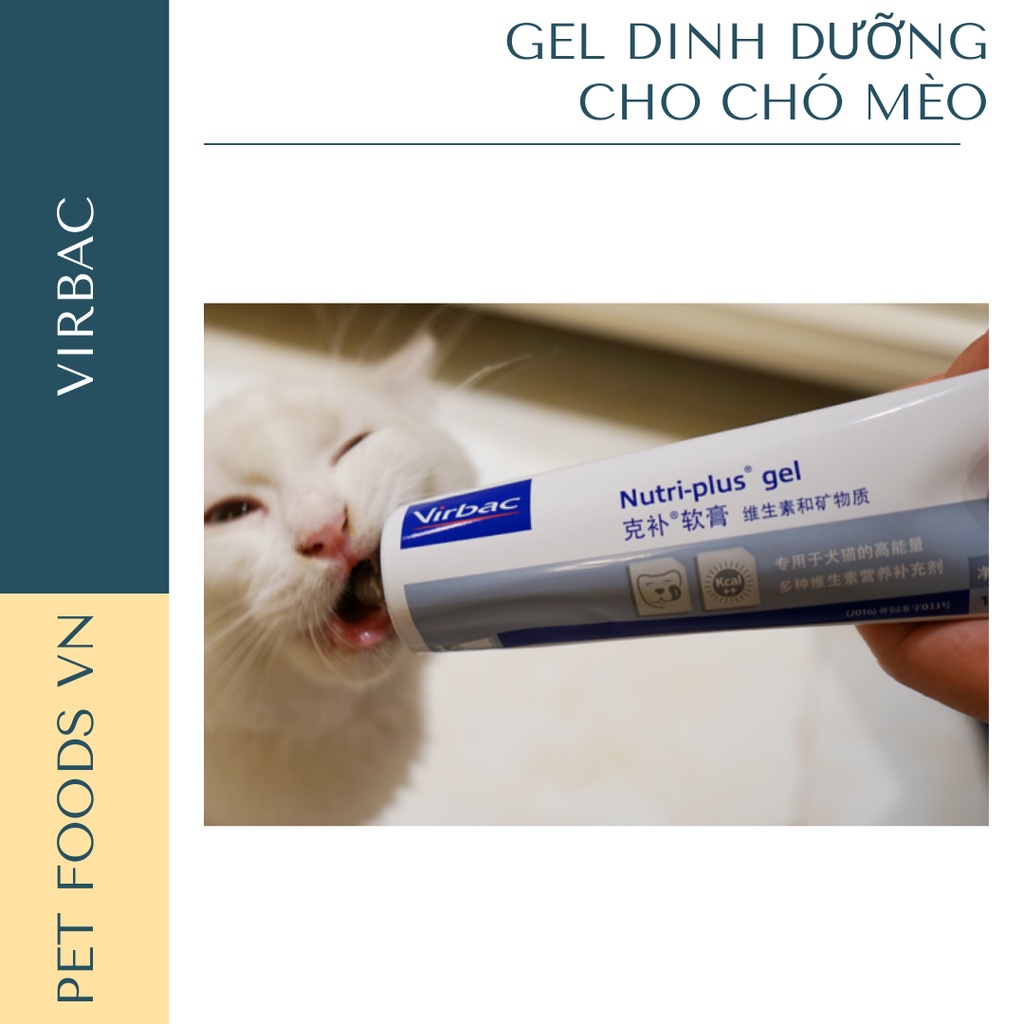 Gel dinh dưỡng cho chó mèo VIRBAC Nutri-plus Gel 100g