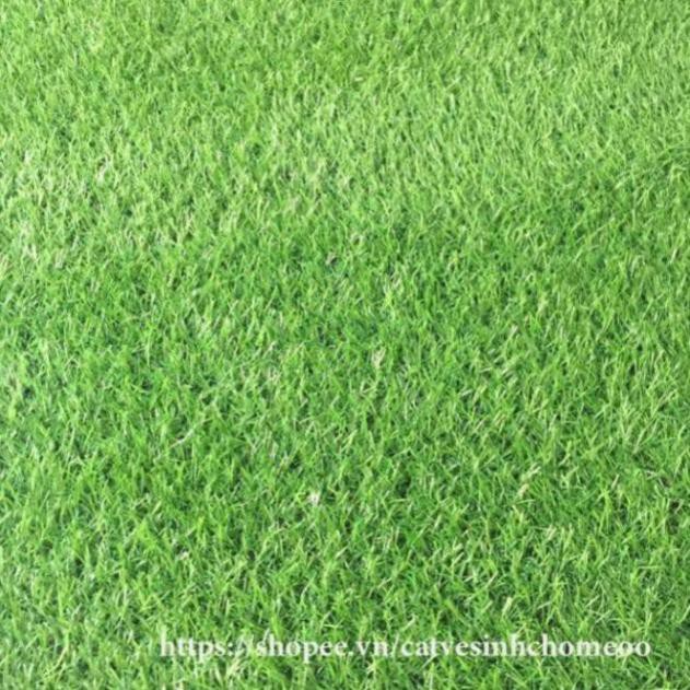 Cỏ nhựa nhân tạo 2cm