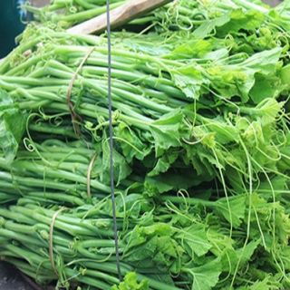 Hạt giống bí ngô siêu ngọn 20gram