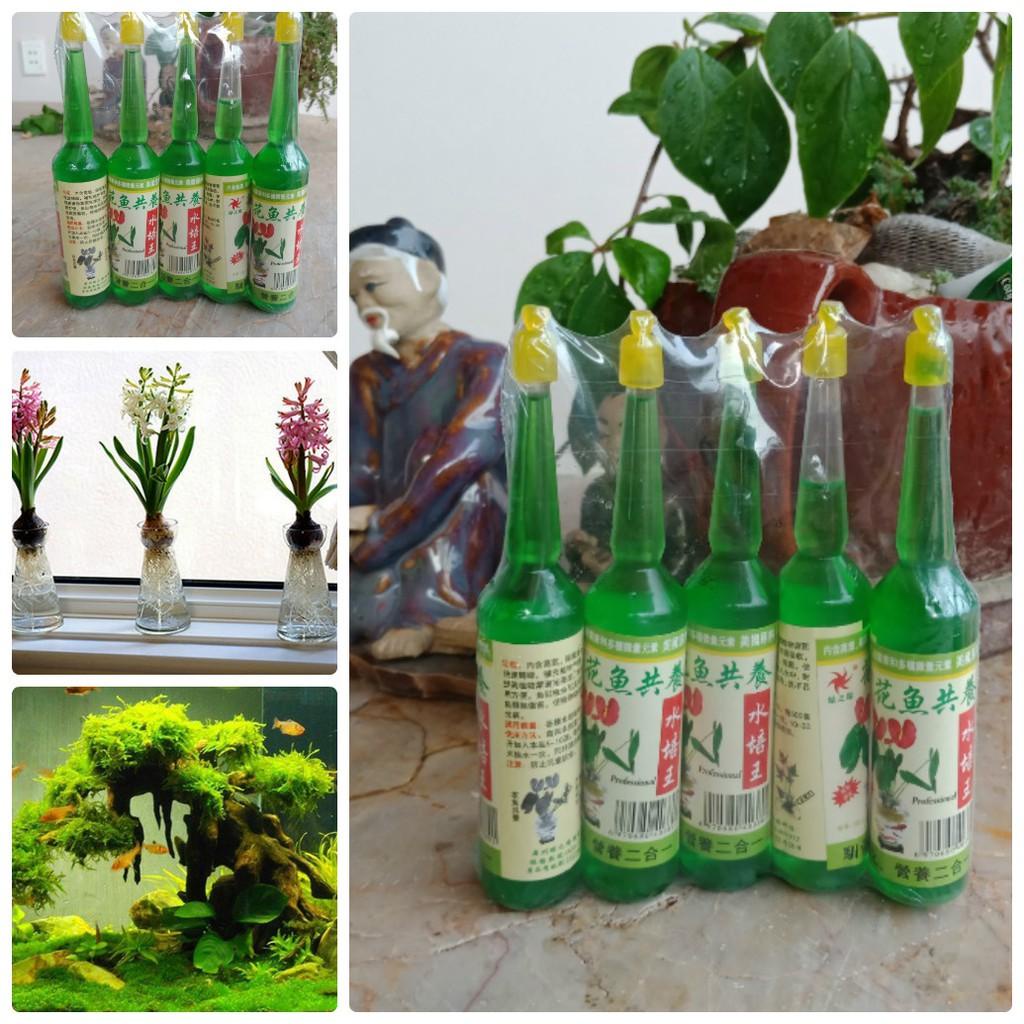 5 lọ DUNG DỊCH THUỶ CANH, GIÚP CUNG CẤP ĐẦY ĐỦ DƯỠNG CHẤT CHO CÁC LOẠI CÂY THỦY SINH