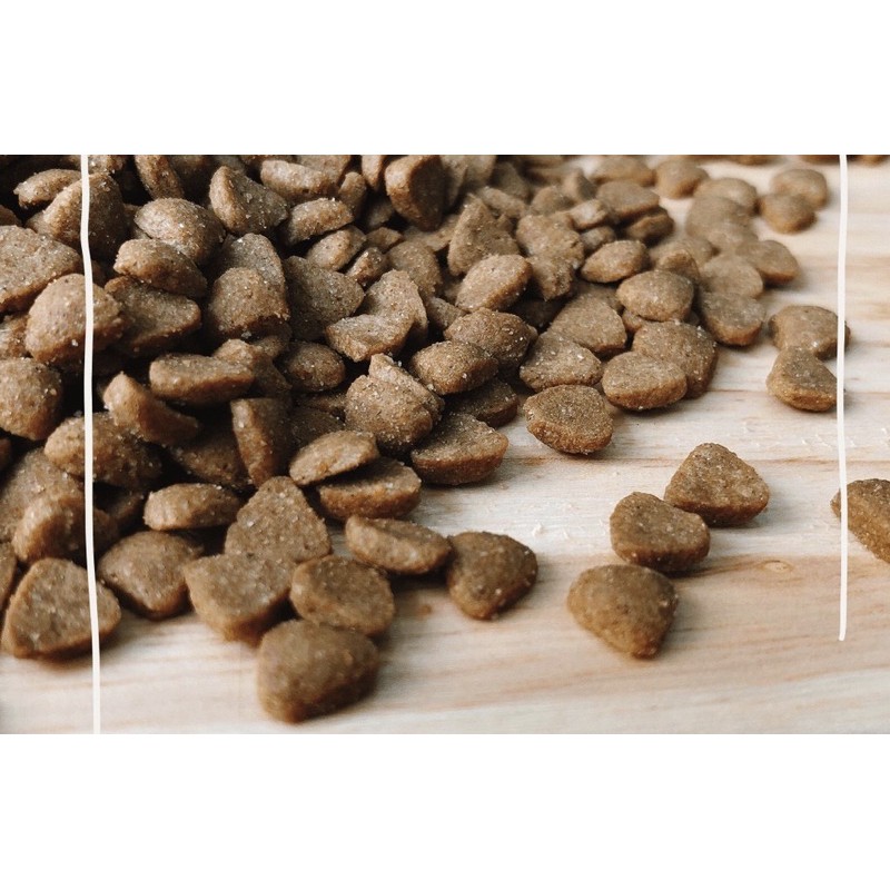 Thức Ăn Hạt Cat’s on 5kg nhập khẩu từ Hàn Quốc cho Mèo yêu