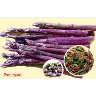 Hạt giống Măng Tây Tím 20 hạt (TẶNG gói kích thích hỗ trợ hạt nảy mầm)