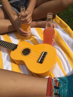 Bộ đàn ukulele soprano màu trơn size 21 (gồm đàn, bao da, capo, dây dự phòng, pick gảy và voucher giảm giá)