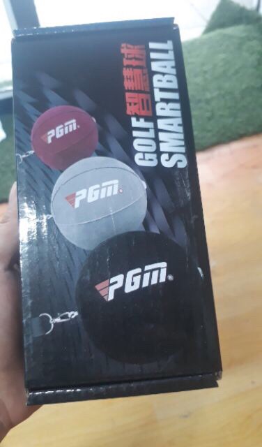 Dụng Cụ Tập Swing PGM/ Golf Smart Ball