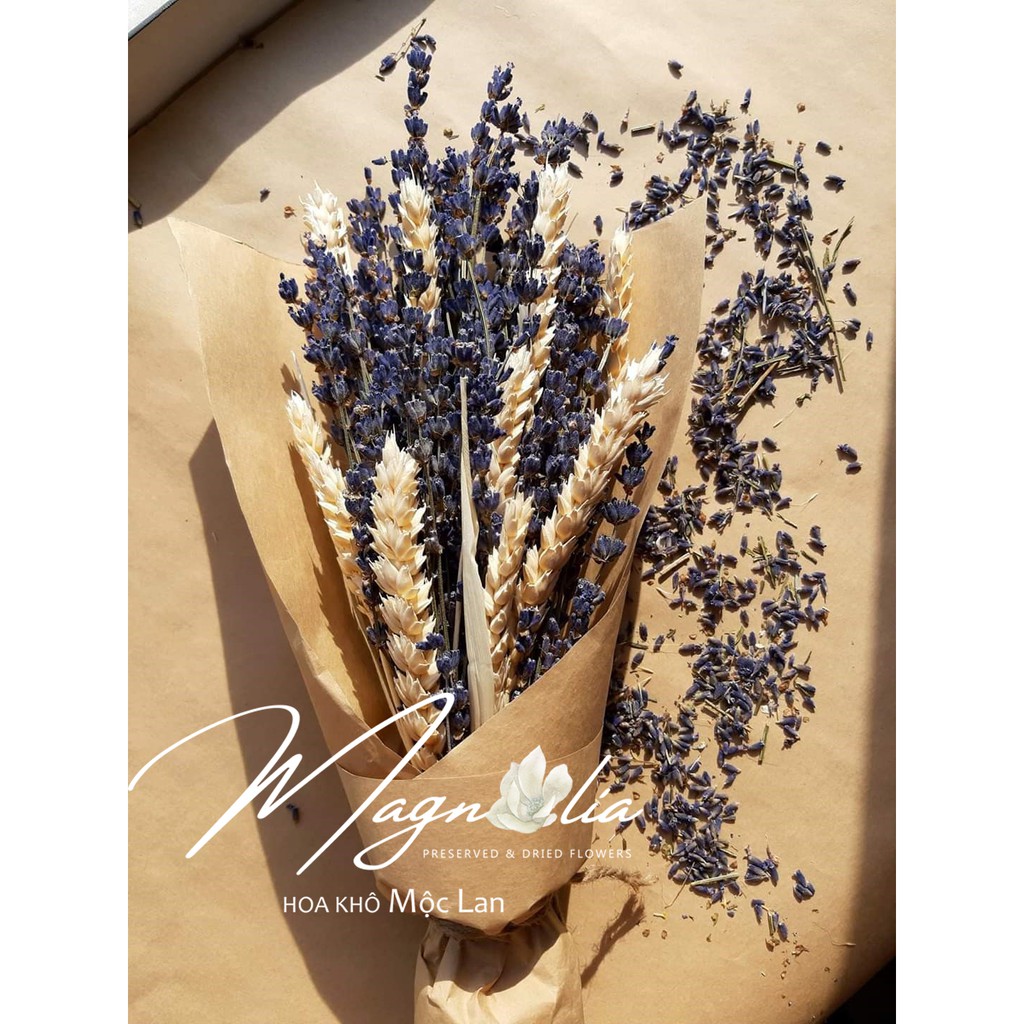 Hoa khô Decor nhà cửa ❤️FREESHIP❤️Hoa Lúa mạch khô ITALY retro vinatge, trang trí cưới
