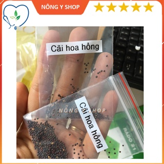 Gói 5g- Túi zip ~100 hạt Cải hoa hồng Rạng Đông - Rado 685