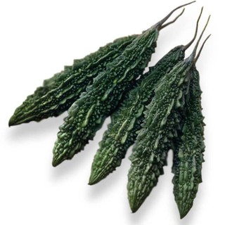 Hạt giống khổ qua F1 gai xanh quả to VTS150 | Vạn Tín Store