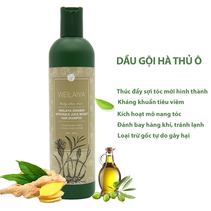 Bộ Dầu Gội Weilaiya Chính Hãng Tinh Chất Gừng Hà Thủ Ô Hỗ Trợ Mọc Tóc, Ngăn Rụng Tóc, Dưỡng Tóc Chắc Khỏe, Bóng Mượt