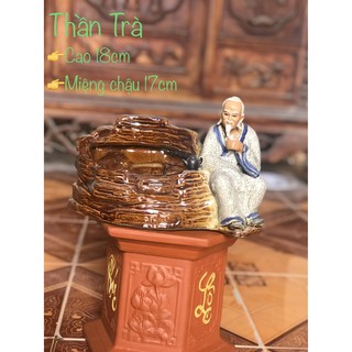 Chậu tượng bonsai Thần trà 2