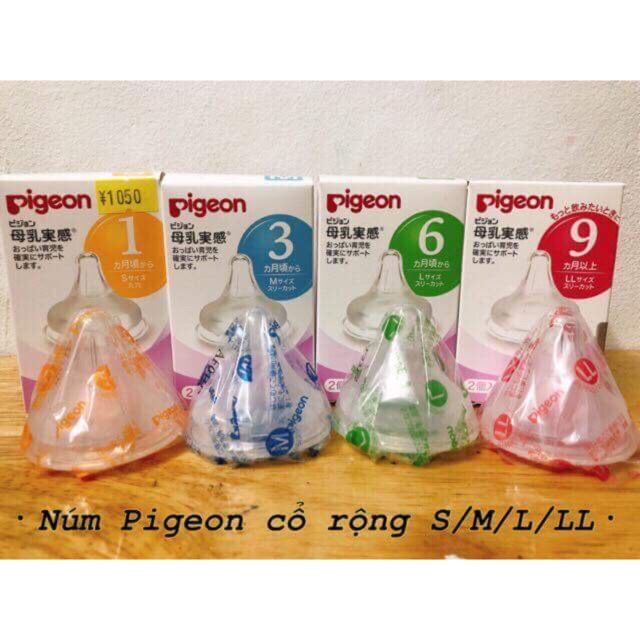 Núm ti pigeon nội địa