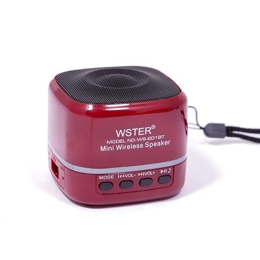 Loa bluetooth đa năng Wster WS-201BT chính hãng