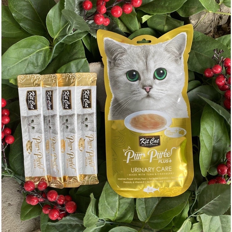 Súp thưởng hỗ trợ chức năng Kitcat Purr Puree Plus+ cao cấp cho mèo