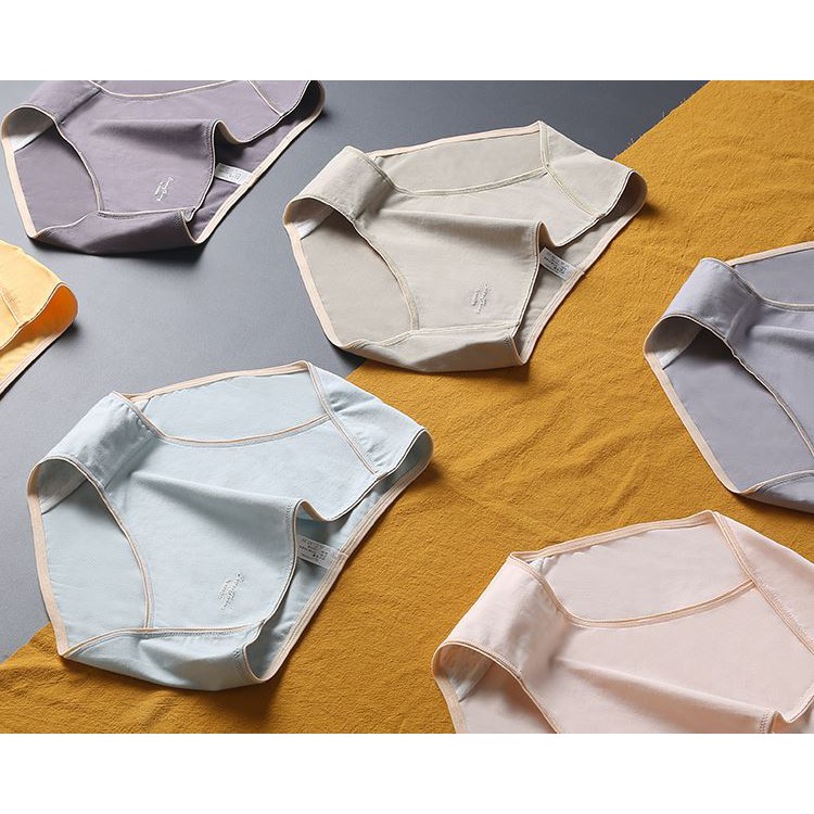 Quần Lót Cotton Mỏng Everything Kháng Khuẩn P225