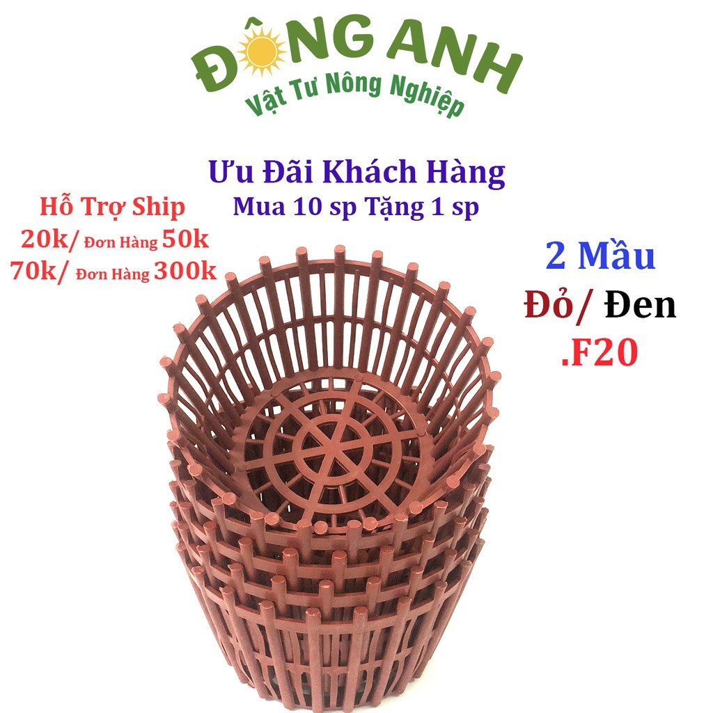 10 Chậu nhựa trồng lan có nan phụ f20