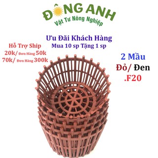 10 Chậu nhựa trồng lan có nan phụ f20