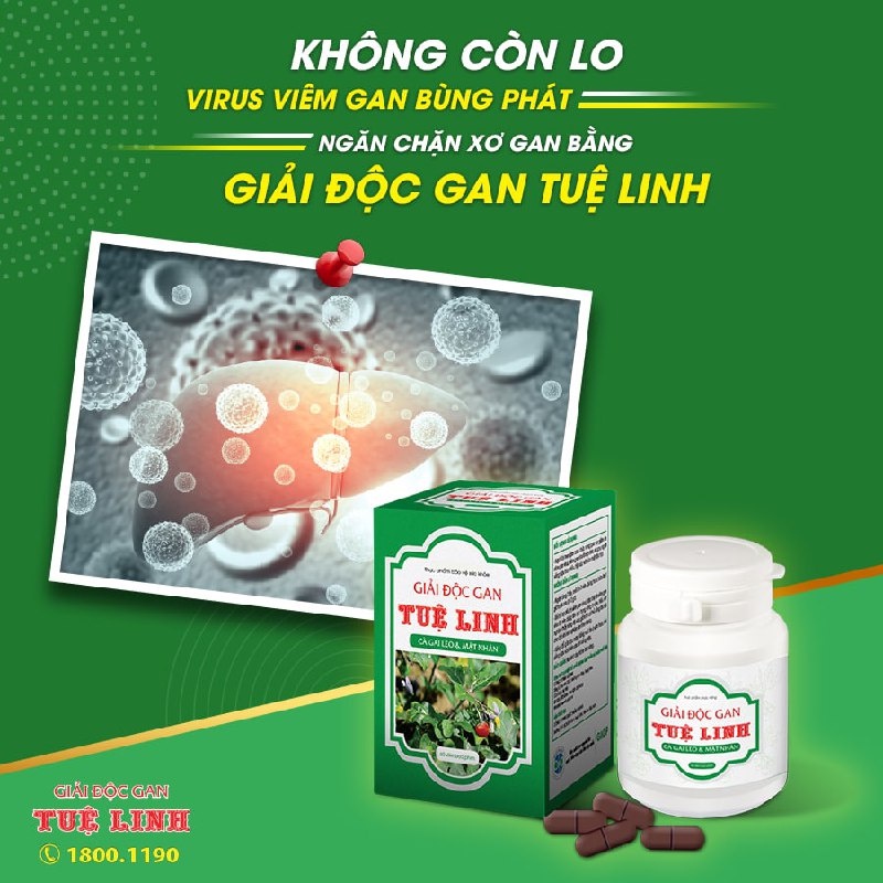 ✅Giải Độc Gan Tuệ Linh [Chính hãng] Giải độc gan, hạ men gan, hỗ trợ viêm gan virus, xơ gan - Hộp 60 viên