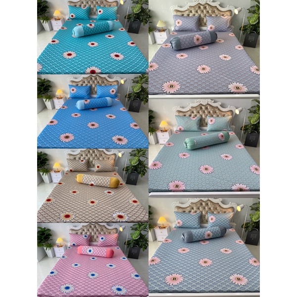 Bộ drap thun Hàn phối màu