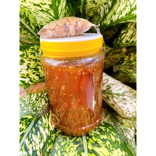 Me khèo hạt dẻo