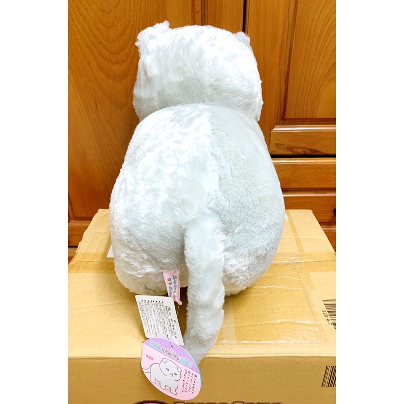 AMUSE - Bé mèo xám cáu kỉnh trong bộ Nyan & KanaruNya