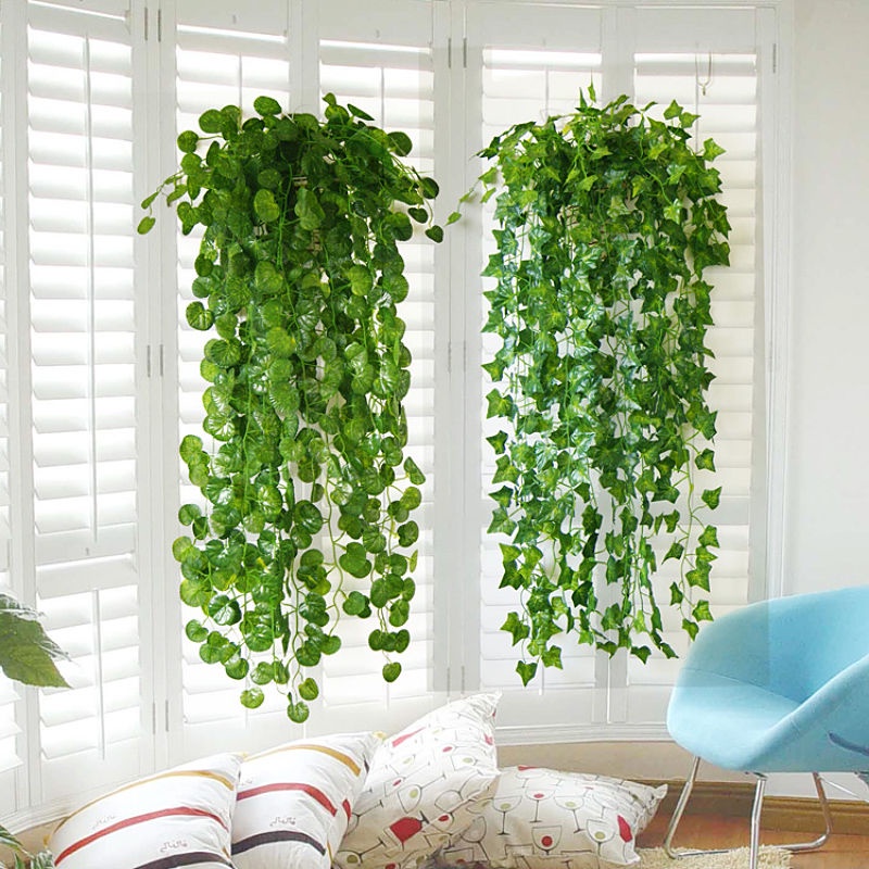 Dây Hoa Lan Giả Bằng Nhựa Treo Tường Trang Trí