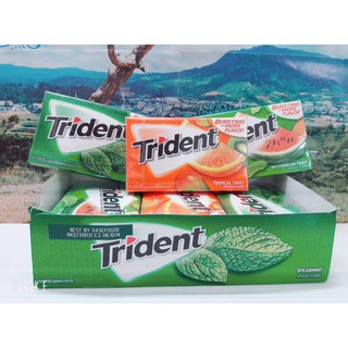 [CHÍNH HÃNG] KẸO GUM/CAO SU KHÔNG ĐƯỜNG TRIDENT 3 VỊ (BẠC HÀ, DƯA HẤU, TRÁI CÂY NHIỆT ĐỚI)