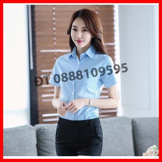 Áo sơ mi trắng tay ngắn