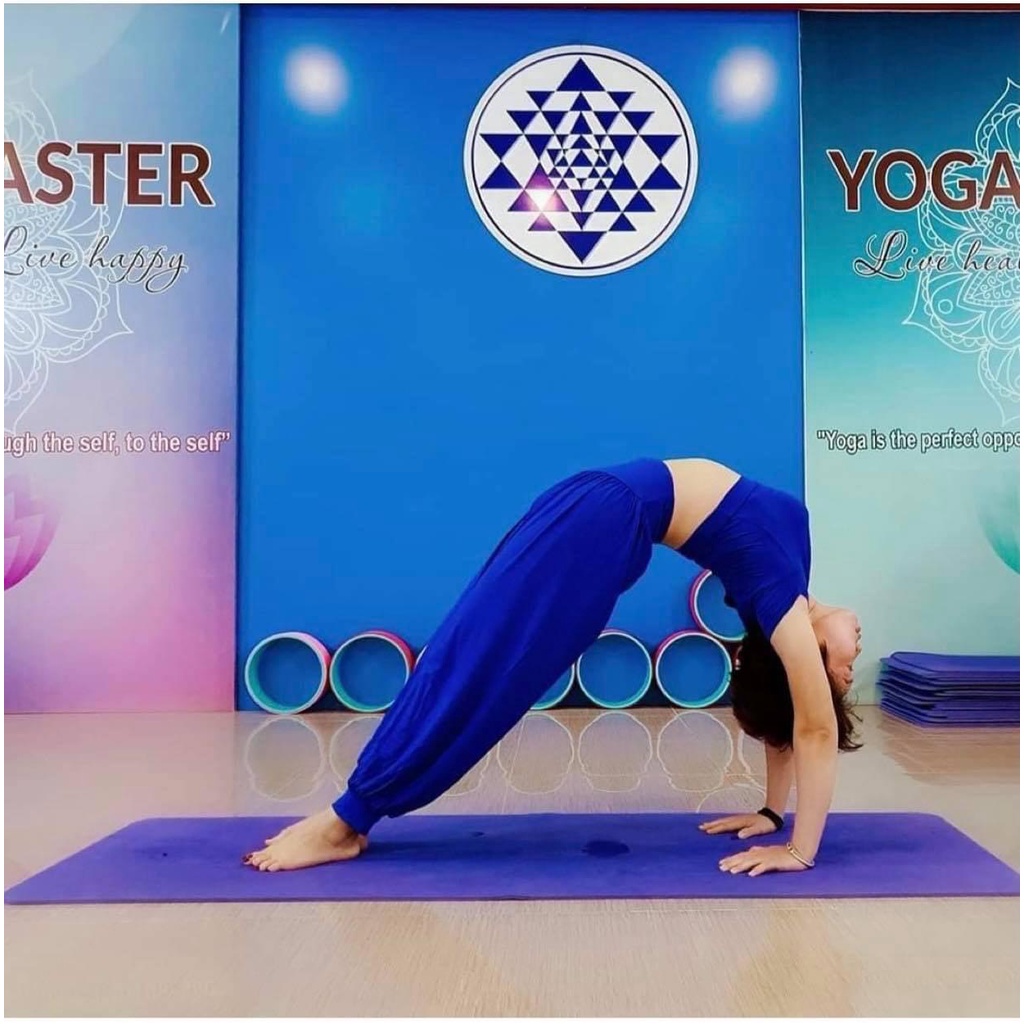 Bộ tập Yoga nữ, set đồ tập yoga Alibaba co giãn 4 chiều thoáng mát BAL01