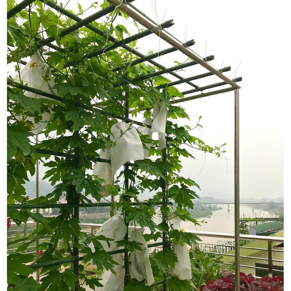 10 cọc cắm cho cây leo cao 180cm đk 16mm