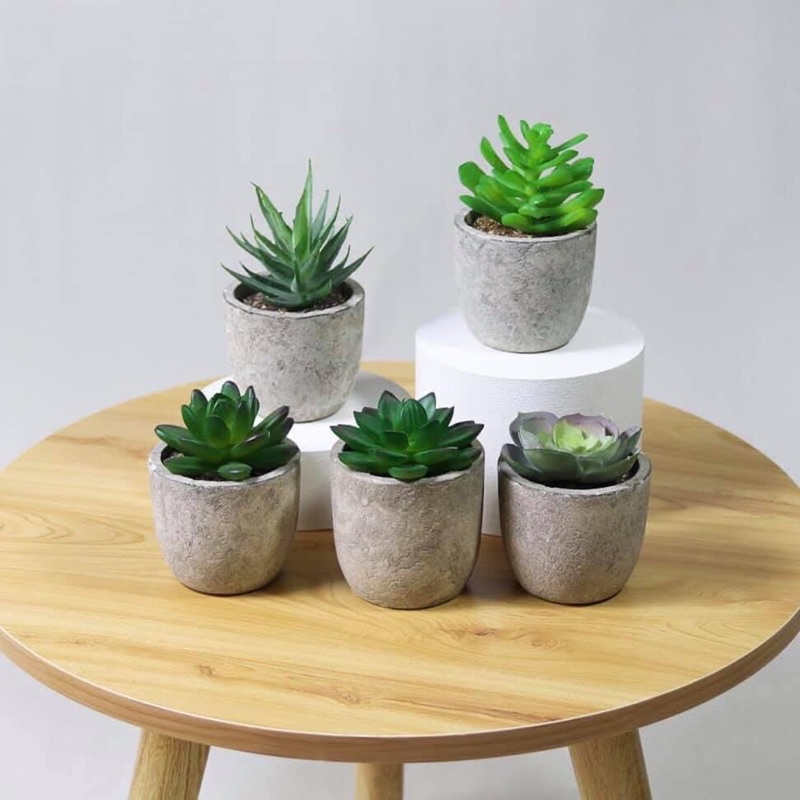 Hoa giả Mini cực kì sang trọng đẹp hơn hoa thật