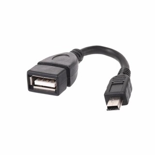 COMBO 2 Cáp OTG cổng hình thang Mini USB to USB