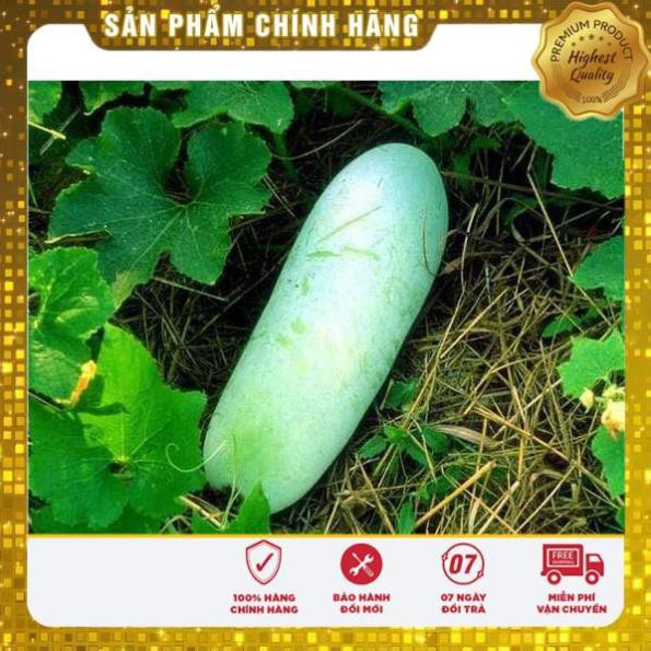 FREESHIP HÀNG CHÍNH HÃNG  Bột Bí Đao Nguyên Chất Meken 100gr