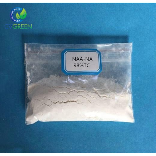 Auxin Alpha Na-NAA 98% tan trong nước - Chất kích thích ra rễ, củ, quả (gói 100g)