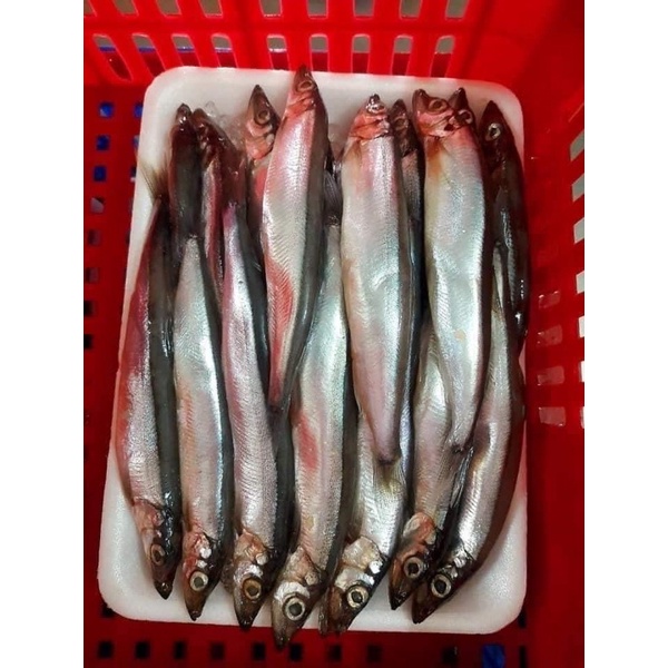 Cá trứng Nauy tươi ngon dinh dưỡng vỉ 500gr