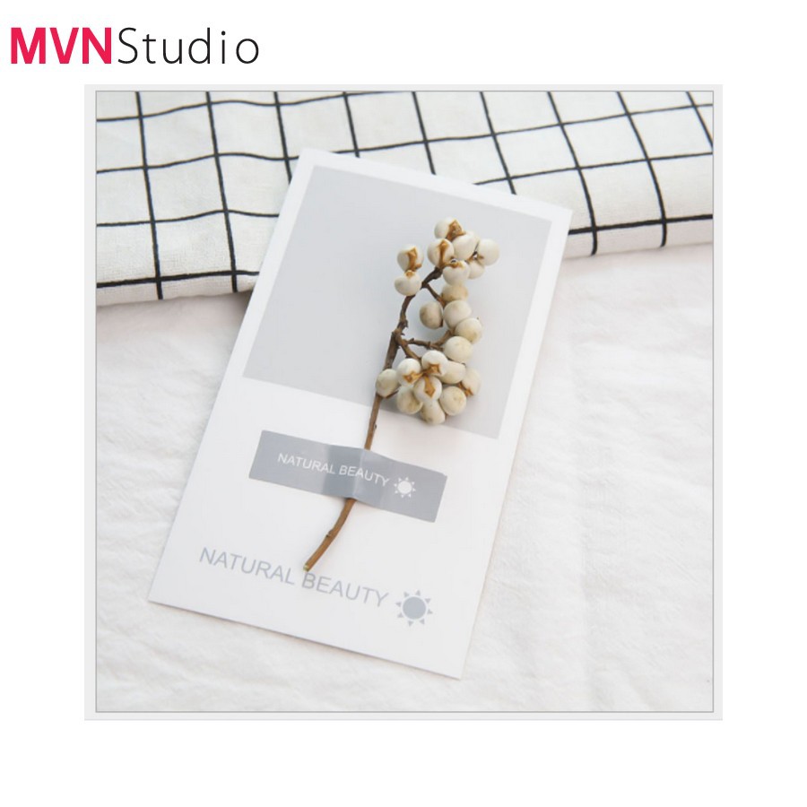 MVN Studio - 7 mẫu thiệp cây, hoa, lá khô phụ kiện trang trí đạo cụ chụp ảnh