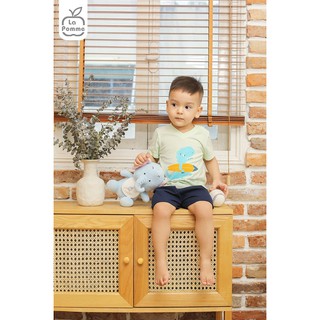SS189 Bộ cộc La Pomme Khủng long lướt ván