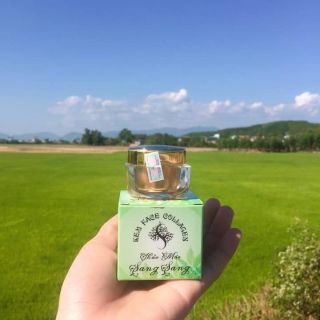 Kem face đông y collagen