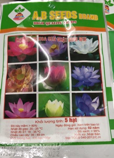 Hạt giống Sen Nhật Mini Mix 5 màu (5 hạt) ☘️
