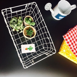 Giỏ sắt