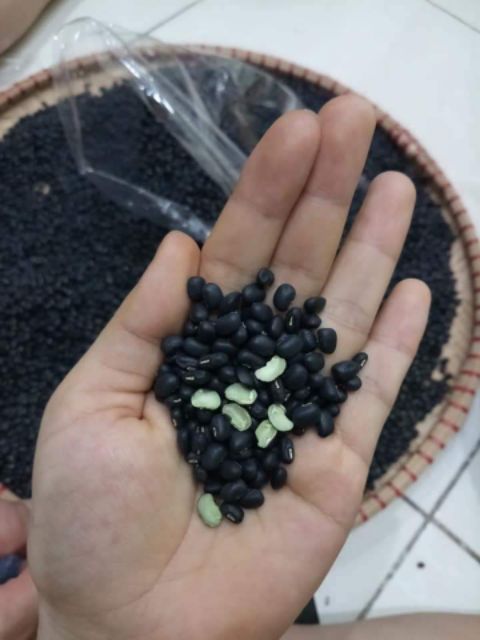 1kg Trà đậu đen xanh lòng chuẩn thơm ngon (rang chín hãm nước)