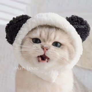 Mũ hình gấu xinh cho thú cưng