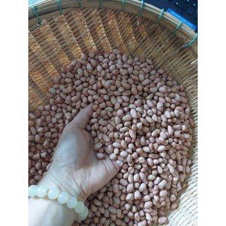 ĐẬU PHỘNG /LẠC TƯƠI ( 1kg )