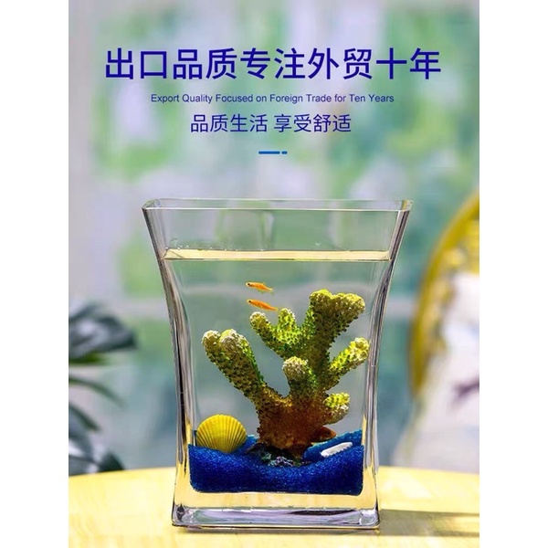 Bể cá thuỷ tinh chất liệu dày dặn