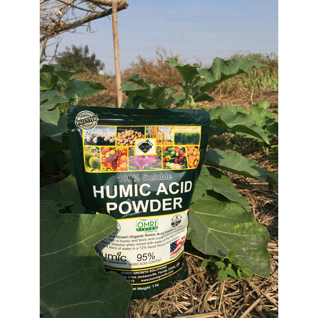 HUMIC ACID POWDER USA - Humic 95% bón vào đất hoặc tưới lên lá 1kg