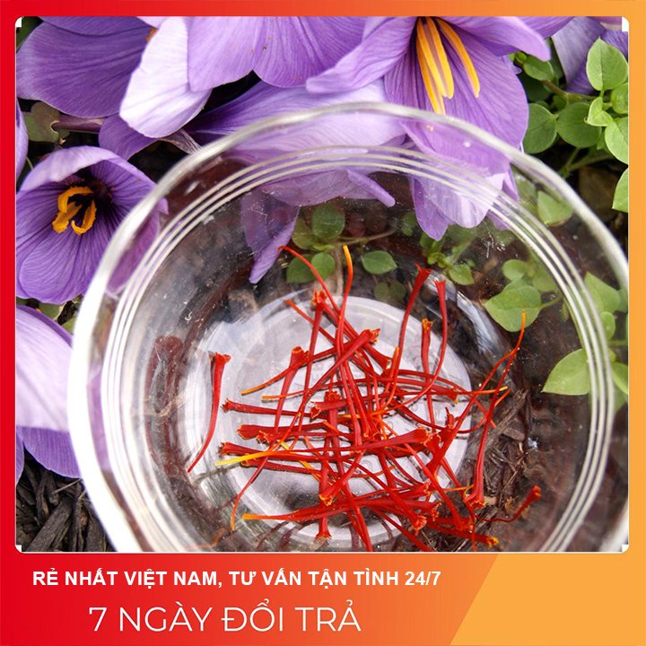 [RẺ rẻ RẺ ] NHÍP GẮP SAFFRON (NHỤY HOA NGHỆ TÂY) NHỰA 7.8*0.7*0.7cm màu trắng (saffron tweezers)