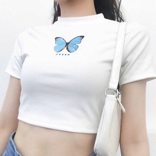 ☀️Áo Croptop Banawa Casar