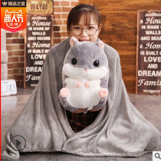Chuột bông Hamster