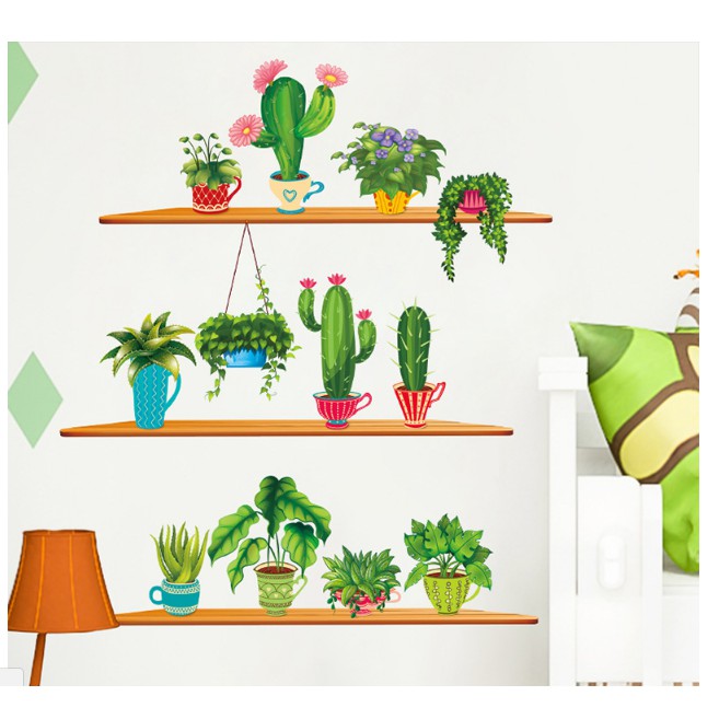 Decal  xương rồng 3 kệ  - XH9309392- thaomivi