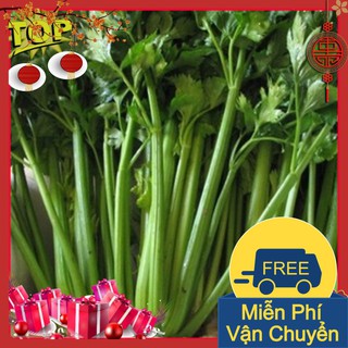Combo 2 Gói Hạt Giống Rau Cần Tây